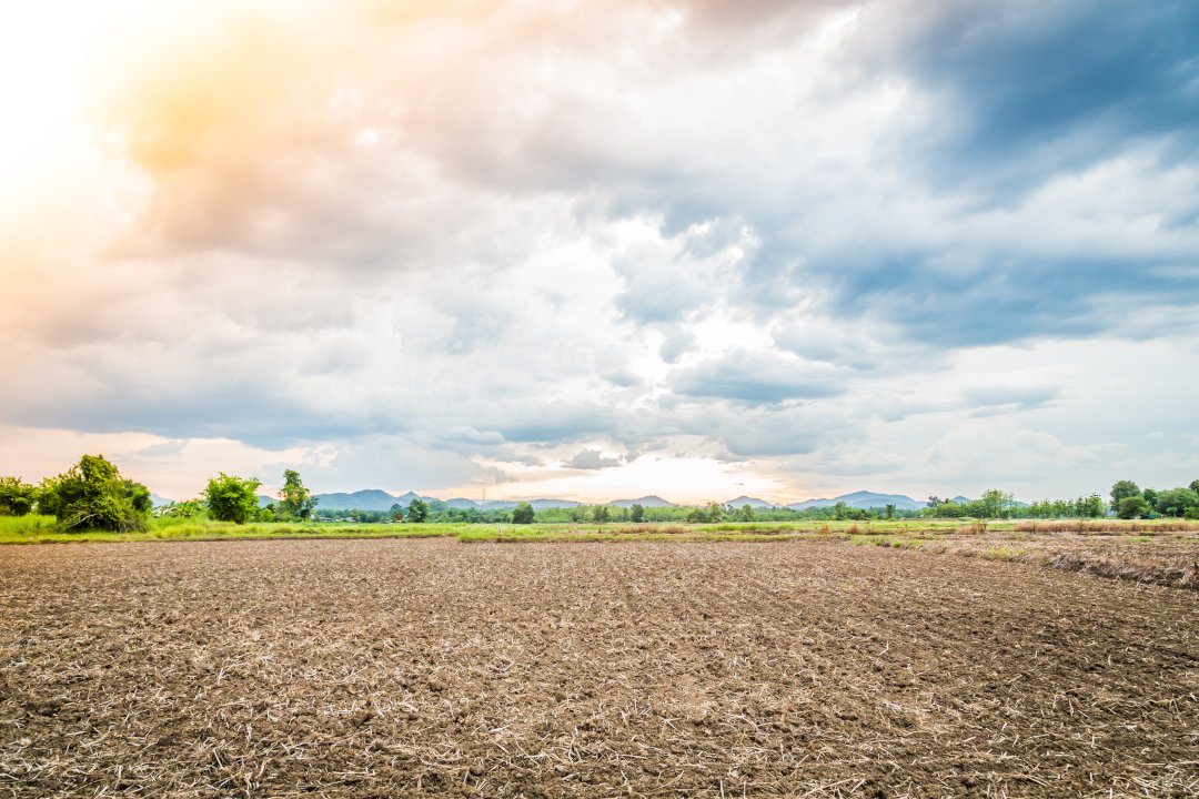 How much and when is it allowed to build on agricultural land?