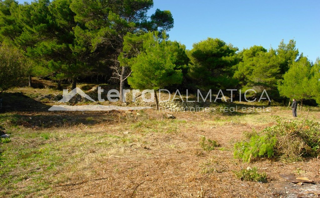 Poljoprivredno zemljište na otoku Ugljanu – prvi red do mora, 16.297 m²