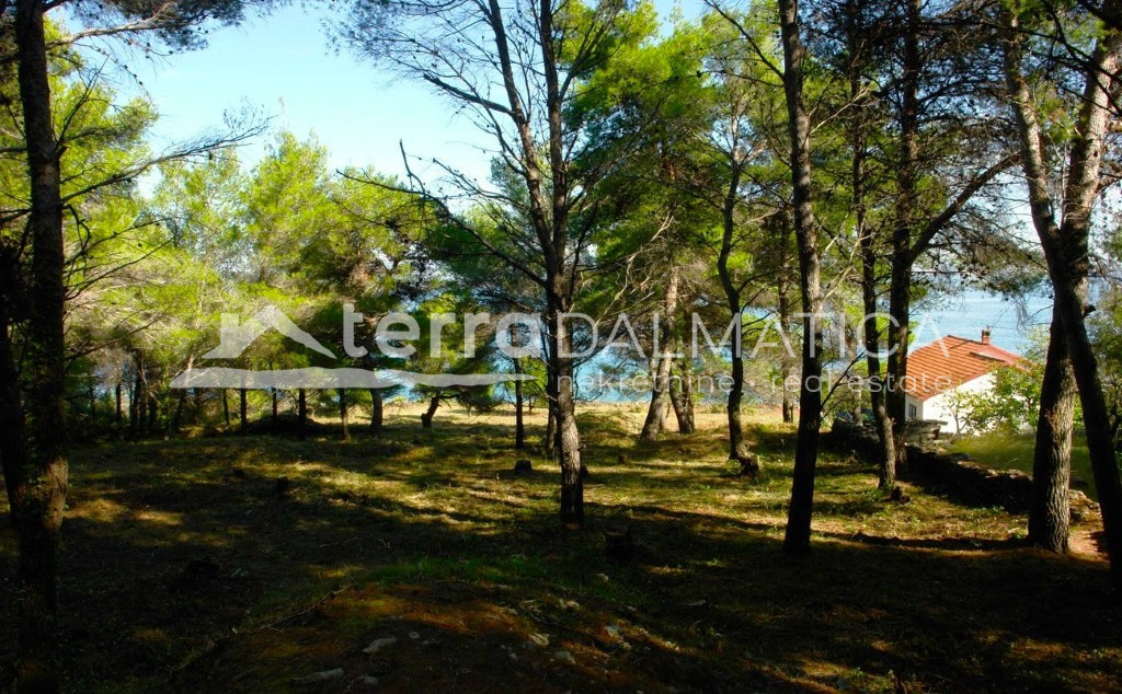 Poljoprivredno zemljište na otoku Ugljanu – prvi red do mora, 16.297 m²
