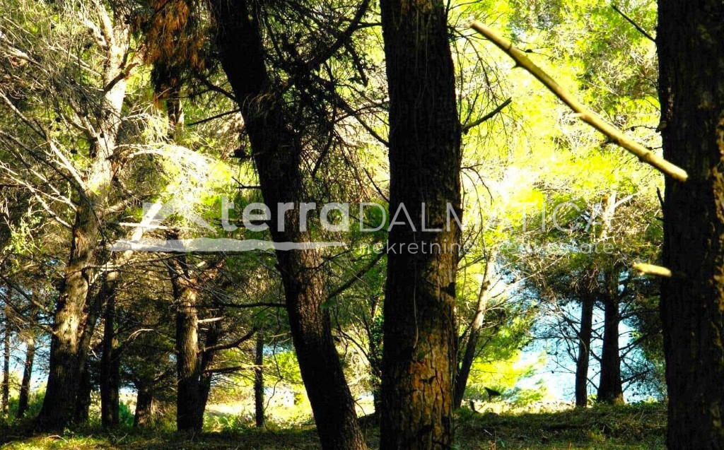 Poljoprivredno zemljište na otoku Ugljanu – prvi red do mora, 16.297 m²