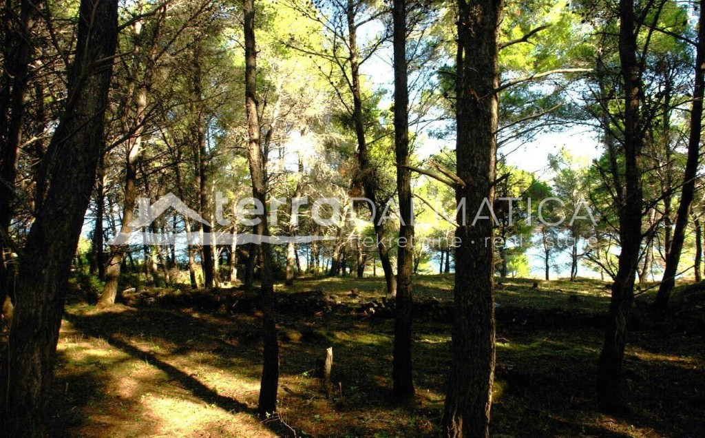 Poljoprivredno zemljište na otoku Ugljanu – prvi red do mora, 16.297 m²