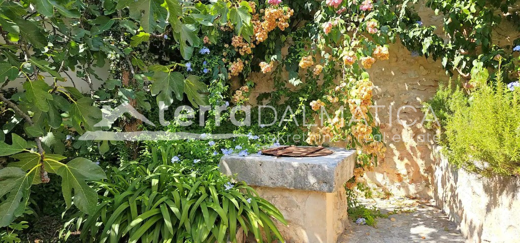 Authentisches Steinhaus – Insel Brač