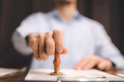 6321b9c856449545492678-jpg