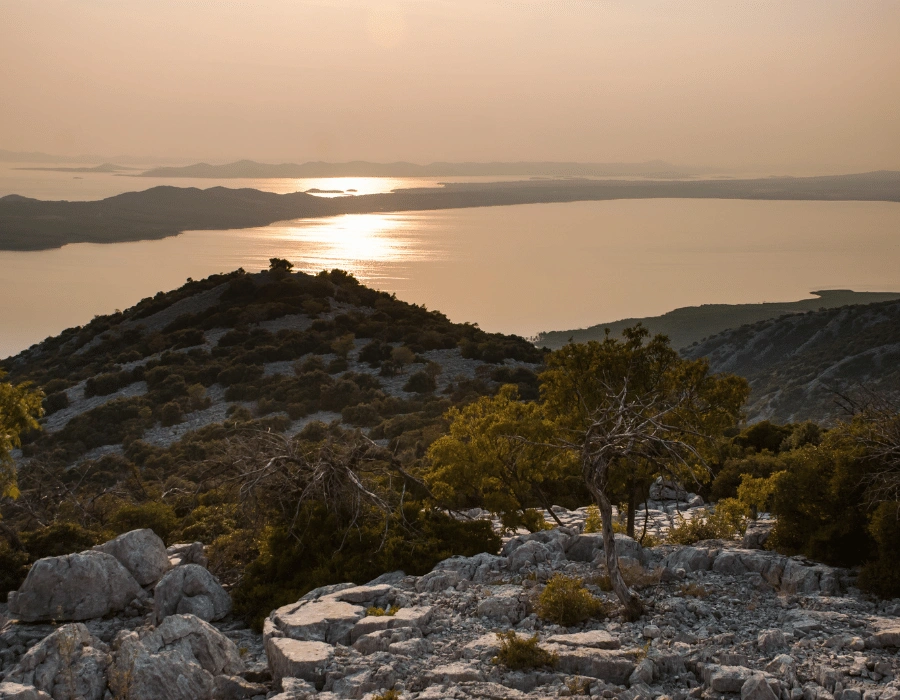 610f088056f0d758122731-png