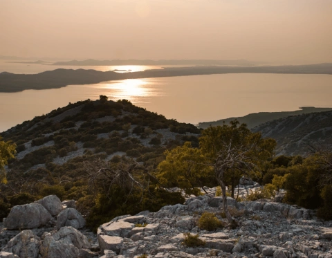 610f088056f0d758122731-png