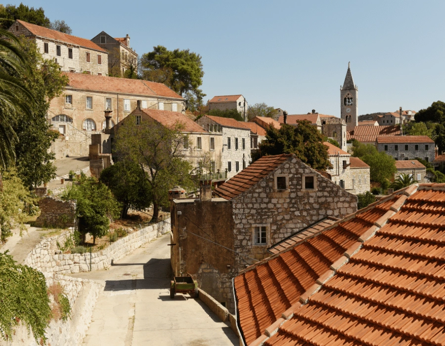 608bc74bb1984380225051-png