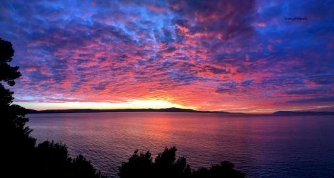 603652b88a41f928417565-jpg