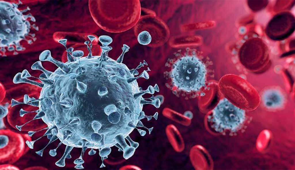 6012cc76c4fe8923404822-jpg