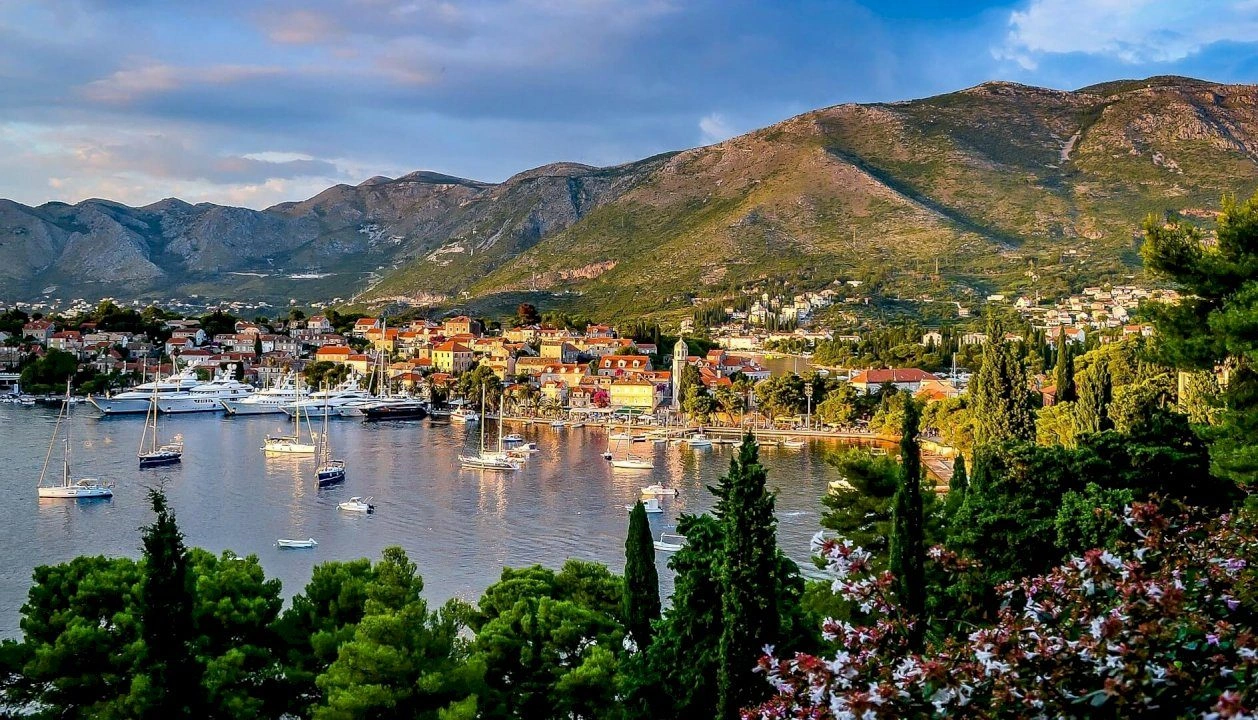 5fa3e01fca597446911925-jpg