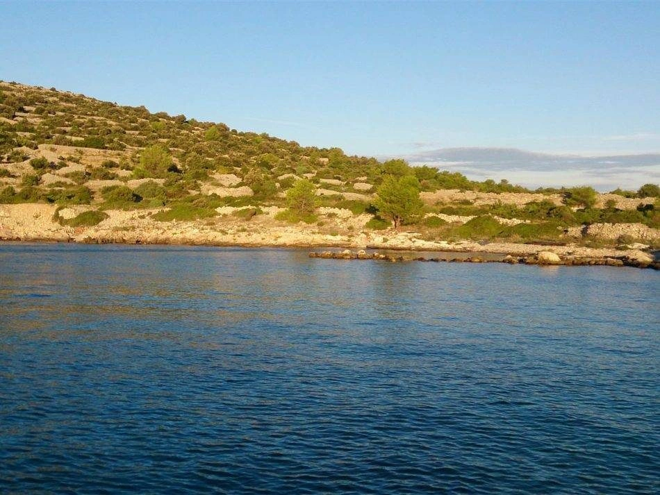 Gallery featured image