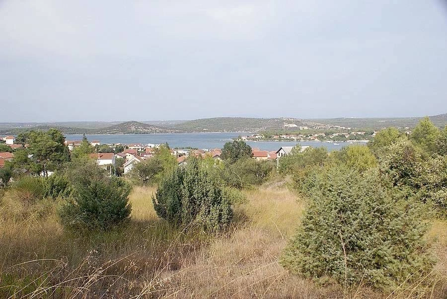 Gallery featured image