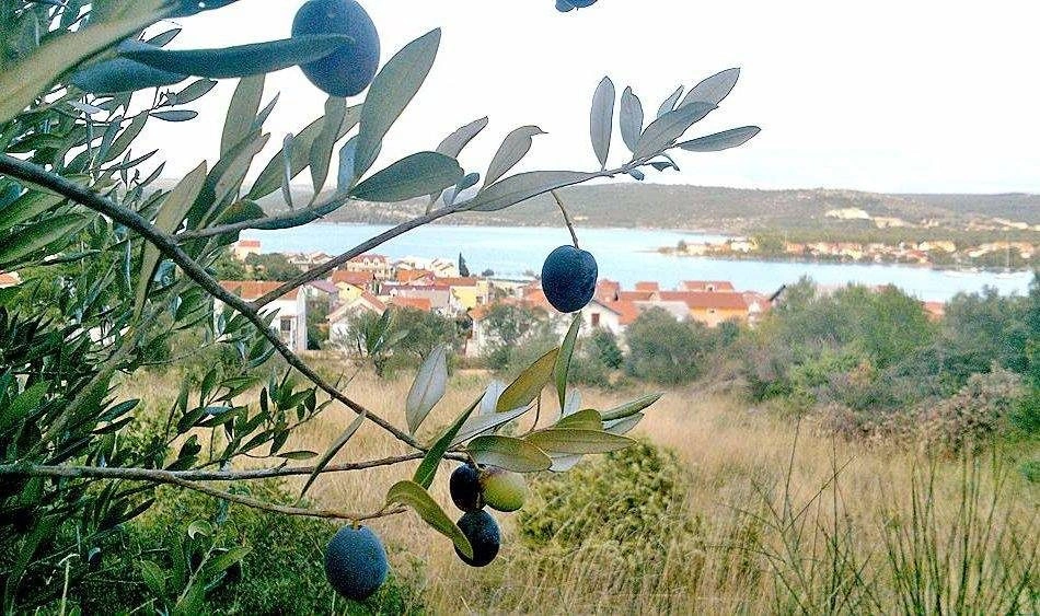 Attraktives Baugrundstück in Bilice-Stubalj zum Verkauf in der Nähe von Šibenik