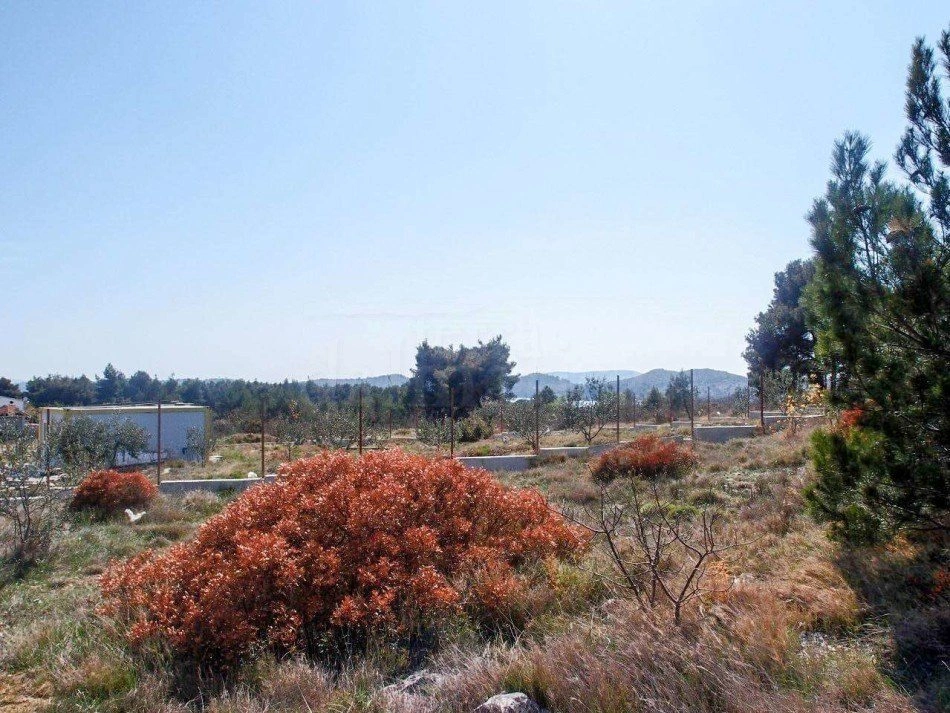 Gallery featured image