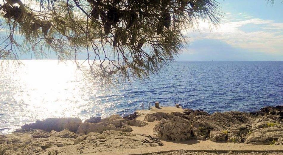 Gallery featured image