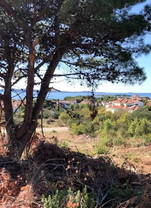 Gallery featured image