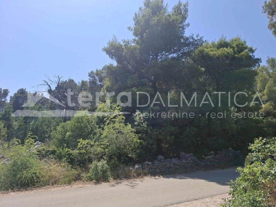 Gallery featured image