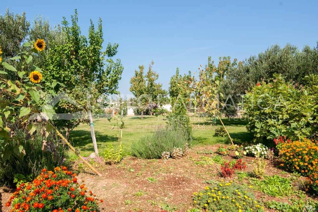 Primošten – willa apartamentowa z basenem na działce o powierzchni 2400 m2