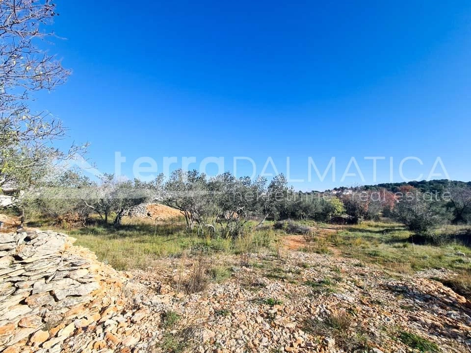 Gallery featured image