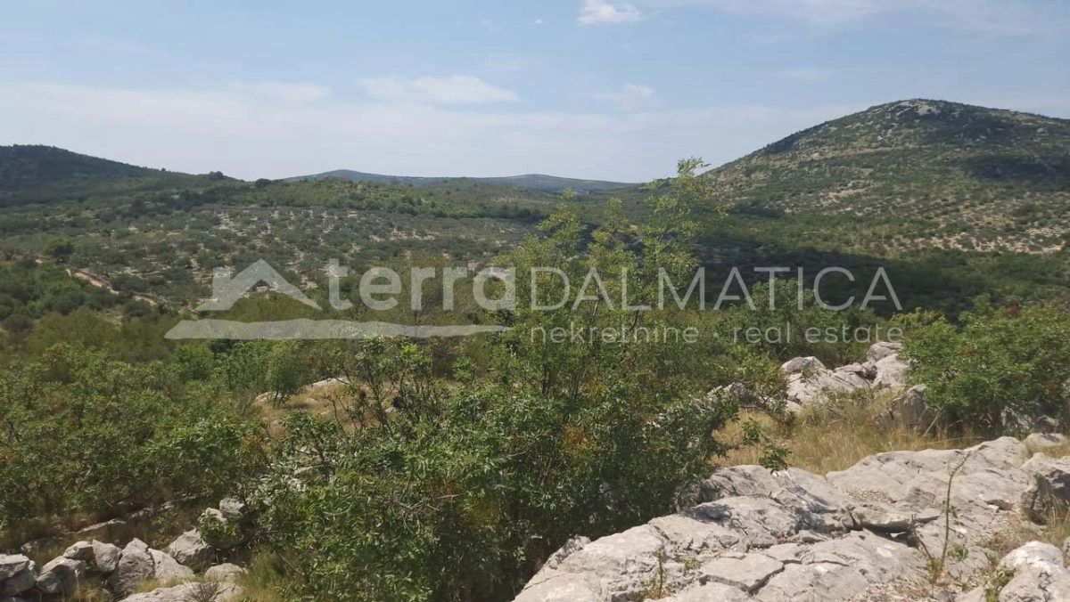 Umgebung von Primosten, landwirtschaftliche Fläche von 21.000 m2, Investitionsmöglichkeit