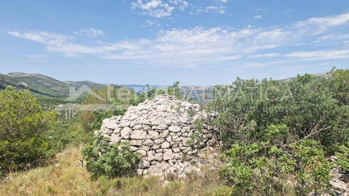 Umgebung von Primosten, landwirtschaftliche Fläche von 21.000 m2, Investitionsmöglichkeit
