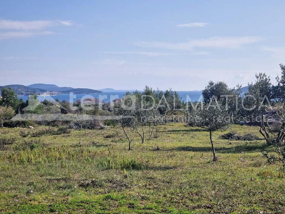 Vodice, Ackerland - Olivenhain mit Blick aufs Meer