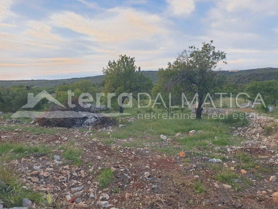 Gallery featured image