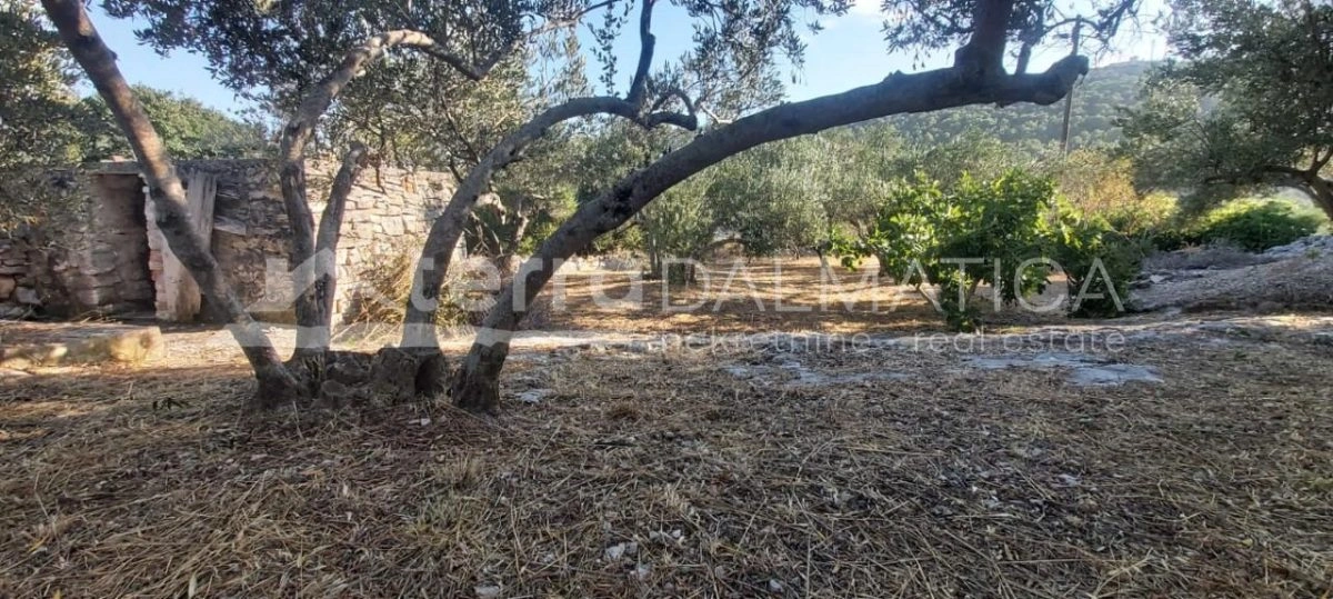 Žirje, građevinsko zemljište u srcu otoka