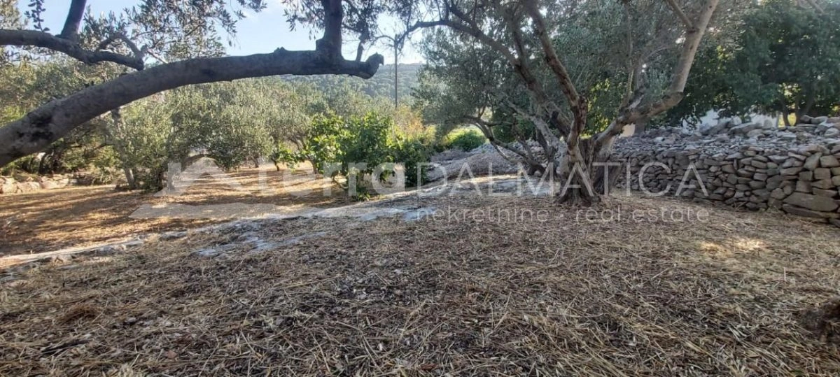 Zirje, Baugrundstück im Herzen der Insel