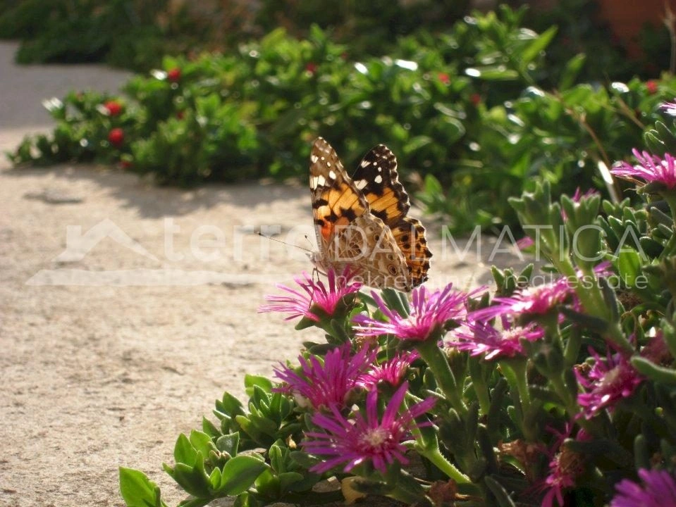 Zirje, ein schönes Haus mit Blick auf das Meer