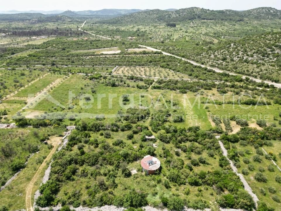 Gallery featured image