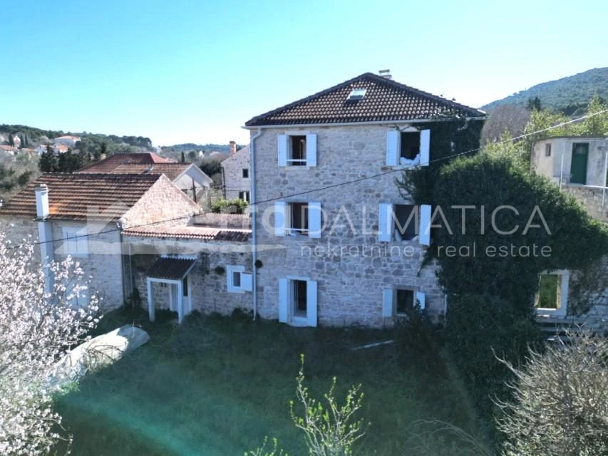 Gallery featured image