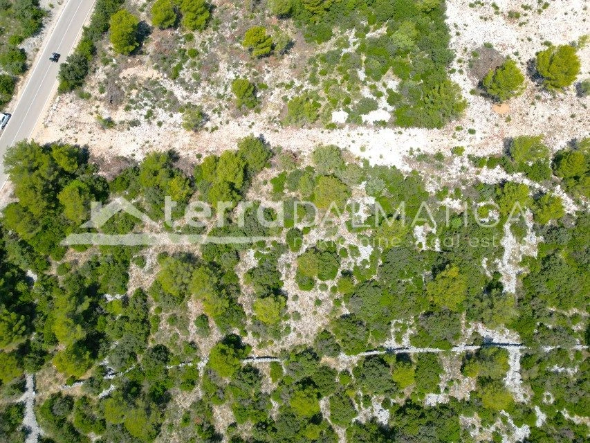 Veliko građevinsko zemljište u blizini svih sadržaja s pogledom
