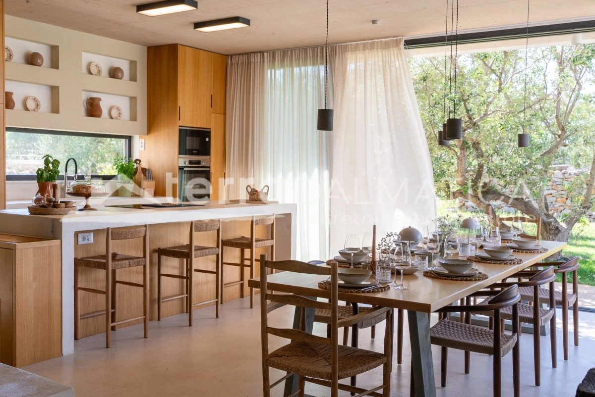 Najpiękniejsza historia Morza Śródziemnego – willa na wyspie Šolta, która wyrasta ze stuletniego drzewa oliwnego