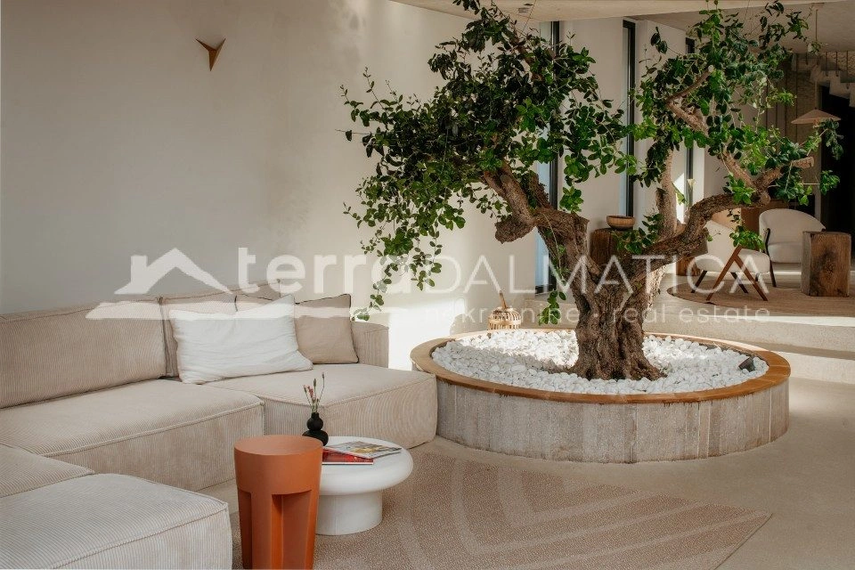 The most beautiful story of the Mediterranean – a villa on the island of Šolta that grows from a century-old olive tree
