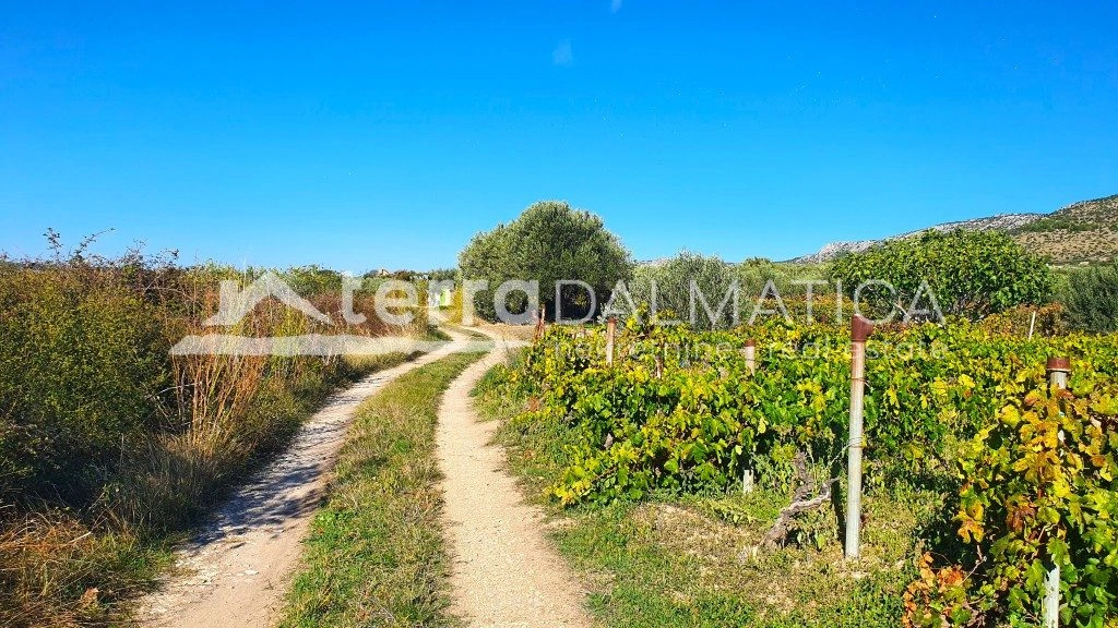 Ruhe, Olivenbäume und Meerblick in der Nähe von Šibenik – 2.808 m² mit Haus und Brunnen