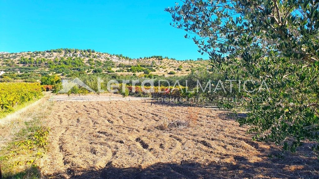 Ruhe, Olivenbäume und Meerblick in der Nähe von Šibenik – 2.808 m² mit Haus und Brunnen