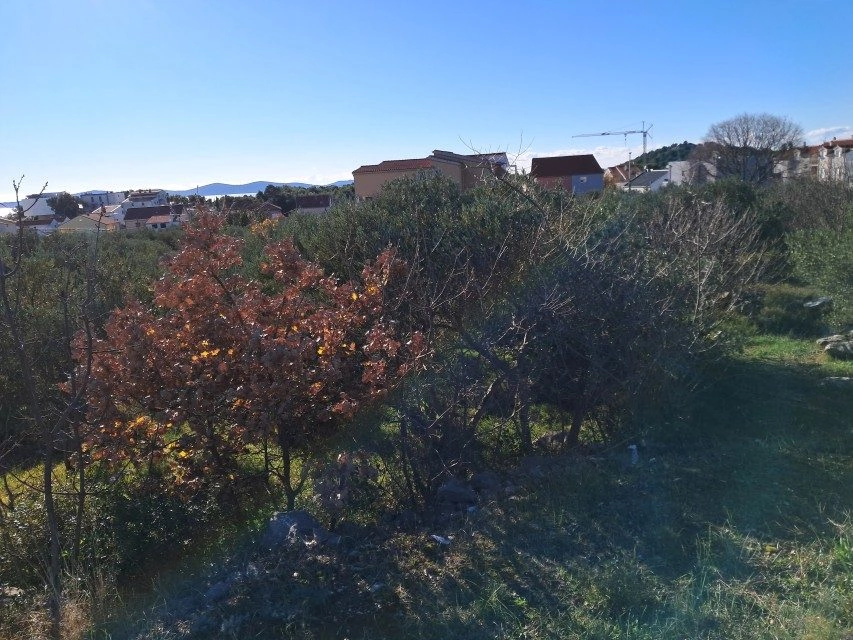 Gradbeno zemljišče v Tribunju