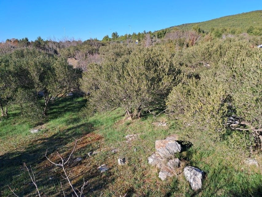 Gradbeno zemljišče v Tribunju