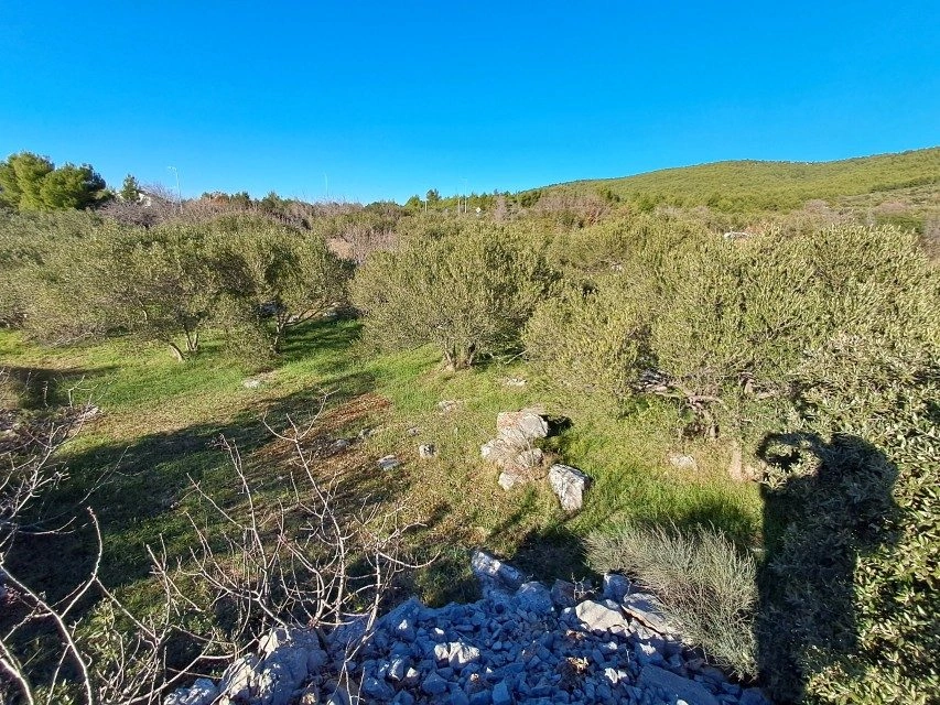 Gradbeno zemljišče v Tribunju