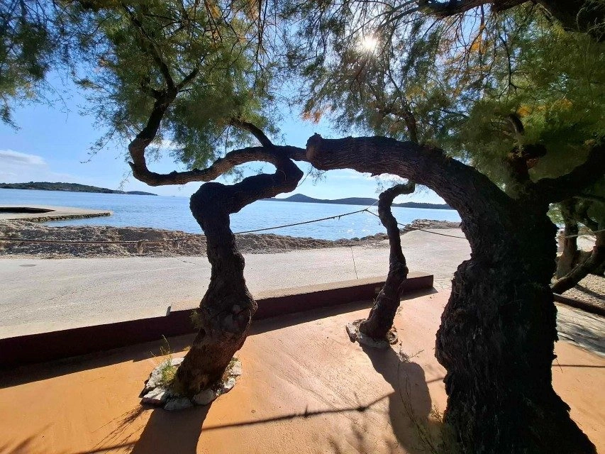 Gut etabliertes Restaurant und Strandbar direkt am Strand – bereit für die Saison