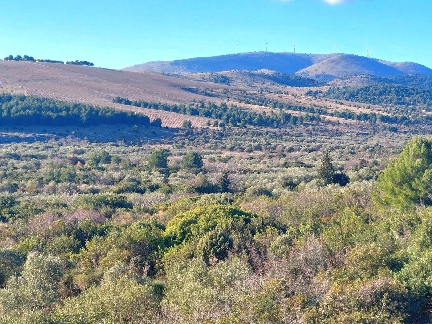 Baugrundstück bei Šibenik, 2250 m², mit Meerblick