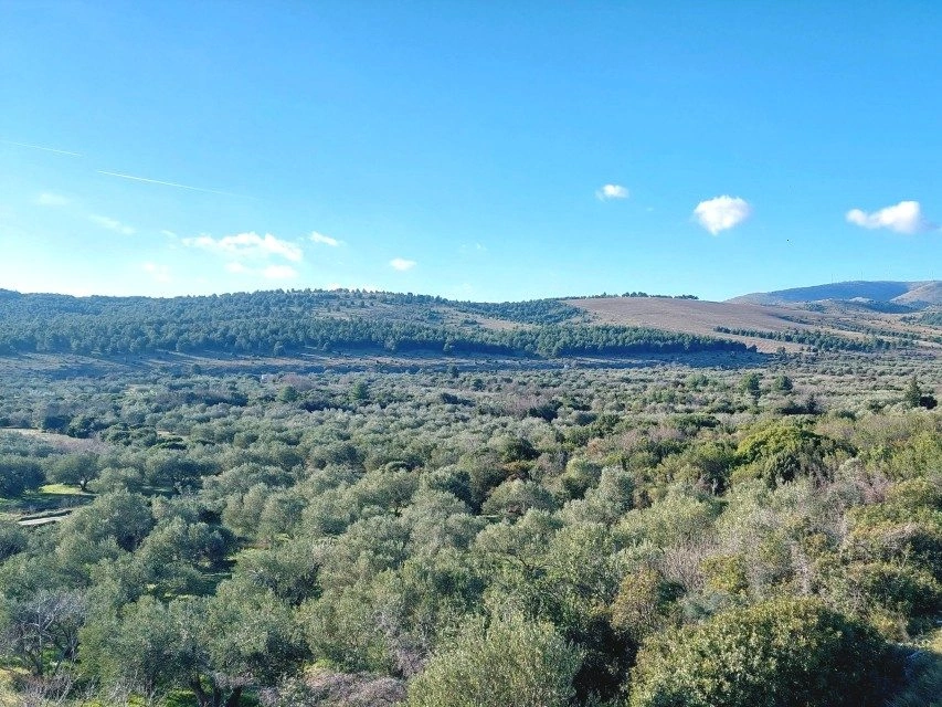 Baugrundstück bei Šibenik, 2250 m², mit Meerblick