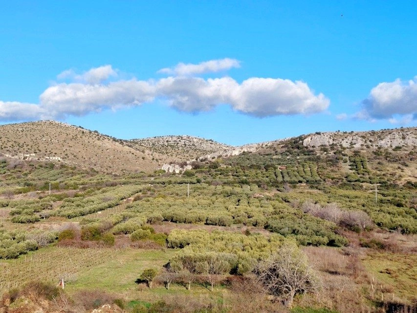 Baugrundstück bei Šibenik, 2250 m², mit Meerblick