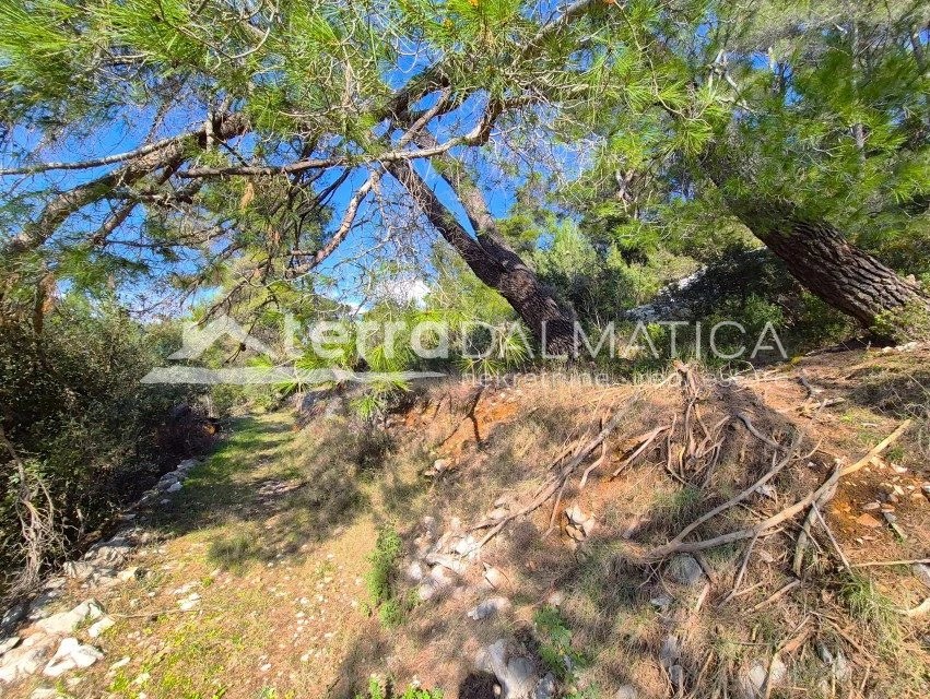 Bauland, Pučišća – Insel Brač