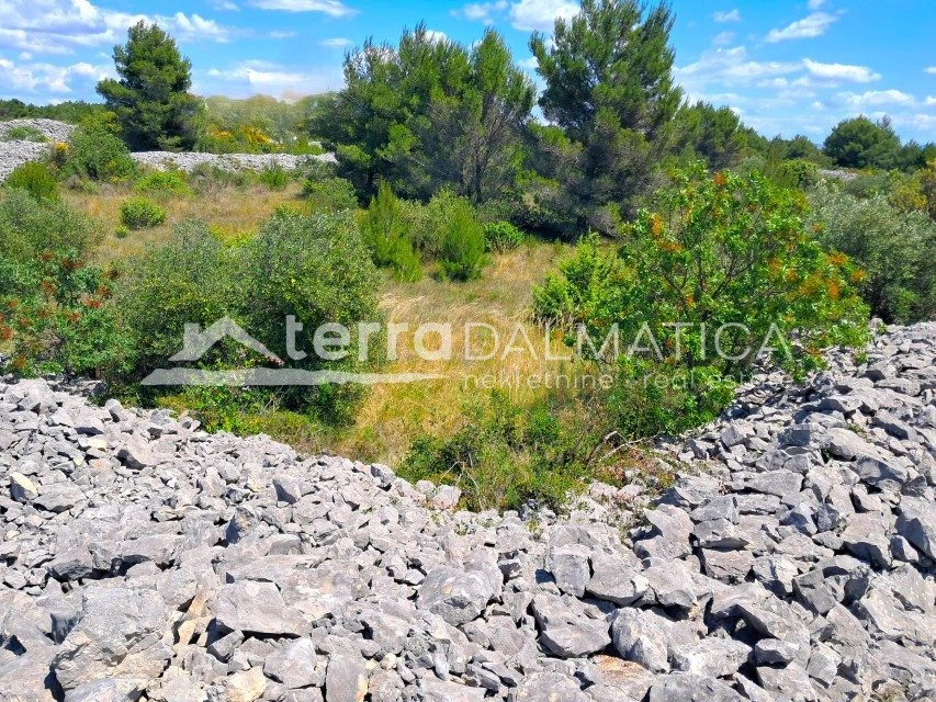 Landwirtschaftliche Fläche 4.455 m² in Srima