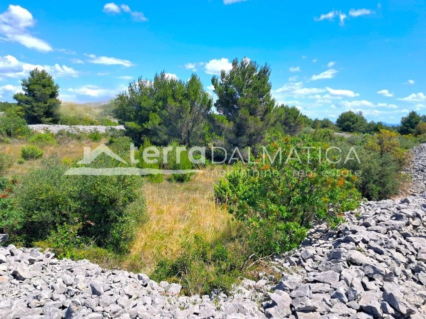Landwirtschaftliche Fläche 4.455 m² in Srima