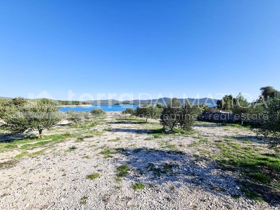 An attractive piece of farmland on the seafront